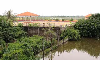 Cty Quốc Việt bắt cá sấu, không bồi thường cho dân