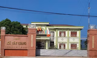 Một chủ tịch xã ở Bình Định bị tạm đình chỉ công tác