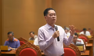 Thông tin việc nhiều doanh nghiệp ở Bình Định dừng hoạt động, giải thể