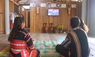 Ngôi làng cuối cùng ở Bình Định bừng sáng ánh điện