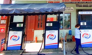 Kiểm tra 55 doanh nghiệp xăng dầu ở Bình Định