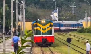 'Biệt đãi' du khách hơn 1.000 vé tàu khứ hồi 0 đồng 