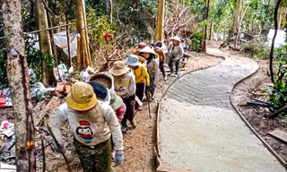 Kéo máy móc, vác xi măng băng rừng mở đường vào thôn biệt lập Bình Định