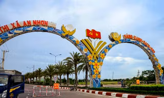 Bí thư, Chủ tịch phường Đập Đá (thị xã An Nhơn) bị tạm đình chỉ công tác. Ảnh: Trương Định