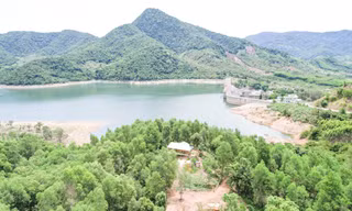 Sai phạm về giao đất, lấn chiếm đất rừng liên quan đến nhiều cựu lãnh đạo huyện Vĩnh Thạnh 