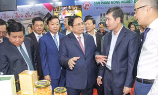 Thủ tướng chủ trì hội nghị phát triển kinh tế-xã hội vùng Bắc Trung bộ và duyên hải Trung bộ