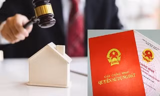 Bình Định yêu cầu kiểm soát người tham gia đấu giá đất