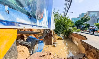 Nguyên nhân đường ở Quy Nhơn bất ngờ sụt lún 'nuốt chửng' cây xanh, trụ điện