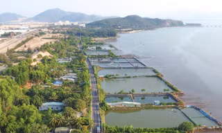 'Khai tử' dự án vui chơi giải trí gần 800 tỷ ở Bình Định