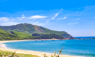 Bình Định kiến nghị bổ sung khu bến cảng Phù Mỹ vào quy hoạch