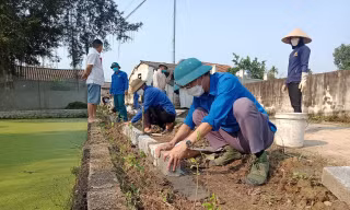 2.000 tình nguyện viên tham gia 'Ngày chủ nhật xanh'