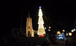 Cây thông Noel làm từ 1.300 nón lá lung linh huyền ảo trong đêm