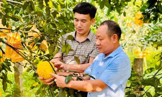 Bí quyết tiêu thụ bưởi để huyện miền núi Hà Tĩnh thu 500 tỷ, nhiều hộ thoát nghèo