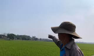 Ngừng đấu giá 9 lô đất nông thôn có giá khởi điểm 'trên trời’