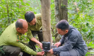 Bảo vệ động vật hoang dã trên dãy Trường Sơn: Xuyên rừng tìm dấu chân thú