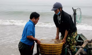 Ngư dân Hà Tĩnh được 'lộc trời' ngày rét tê tái