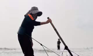 'Lộc biển' dạt trắng bờ biển, ngư dân cào ốc ngày kiếm tiền triệu