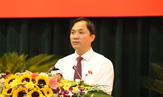 Ông Hoàng Trung Dũng phát biểu tại kỳ họp.