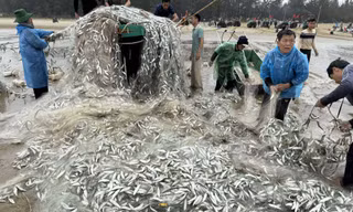 Vừa trúng đậm gần 1,5 tấn cá trích, tàu ngư dân bị sóng đánh lật 