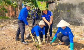 Hơn 10.000 đoàn viên thanh niên Hà Tĩnh hưởng ứng Ngày Chủ nhật xanh