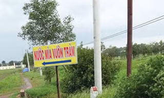 Teen trốn học đi 'chòi tình nhân'