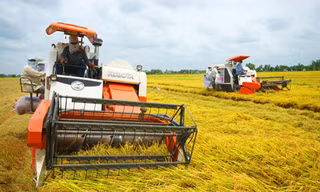 Theo Thứ trưởng Bộ NN&PTNT Lê Quốc Doanh, phát triển sản xuất nông nghiệp là giải pháp thực hiện sáng kiến “không còn nạn đói” và “giảm nghèo” hiệu quả nhất ở Việt Nam.