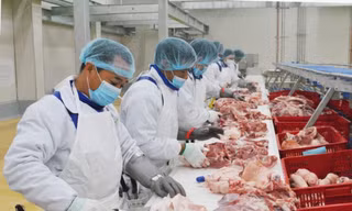 Để giữ trọn dưỡng chất cùng độ ngon tối ưu của thịt, sản phẩm thịt heo Meat Deli luôn được bảo quản xuyên suốt ở nhiệt độ 0-4 độ C từ nhà máy đến tận tay người tiêu dùng.