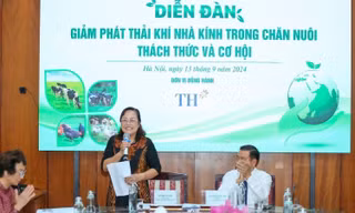 Giảm phát thải khí nhà kính để ngành chăn nuôi phát triển bền vững