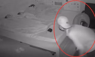Cảnh tượng thót tim khi người phụ nữ xem lại camera phòng ngủ
