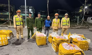 Phát hiện gần 1 tấn nội tạng động vật hôi thối trên đường từ Hà Nội lên Điện Biên
