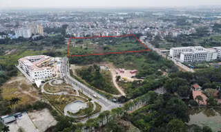 Đấu giá khu đất 4,4 ha làm khu nhà ở thấp tầng ở phường đông dân nhất Thủ đô