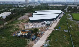 Lấn chiếm đất bị phạt tới 1 tỷ đồng theo quy định mới