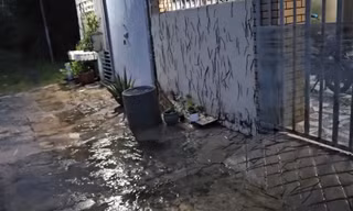Kinh hãi cảnh hàng nghìn con giun chui lên mặt đất, leo tường nhà ở Vũng Tàu