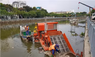 Cá chết nổi trắng trên kênh Nhiêu Lộc - Thị Nghè.
