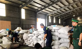 Hàng trăm bao tải chứa vảy tê tê giấu trong container gỗ.