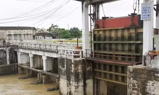 Ba người ở Nghệ An chết, mất tích vì lũ