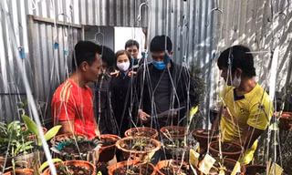 Đưa các đối tượng đi thực nghiệm hiện trường