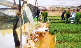 Đôi tình nhân ôm nhau chết trong hồ nước, quanh người quấn dây điện