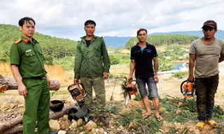 3 đối tượng cưa hạ thông bị bắt quả tang cùng cưa máy tang vật