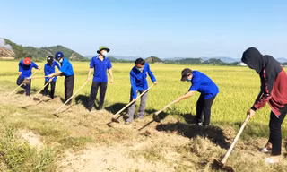 Làm đường giao thông nội đồng tại xã Triệu Hải. 
