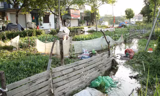 Hình ảnh hoang tàn trong công viên bị 'bỏ quên' tại Hà Nội