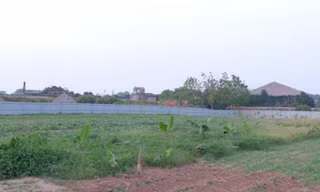 Hơn 186.000 m2 đất nông nghiệp công ích ở huyện Phúc Thọ sẽ được đấu giá quyền cho thuê với giá khởi điểm 675 đồng/m2. 