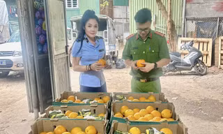 Lực lượng chức năng Hà Nội phát hiện 450kg cam có dấu hiệu nhập lậu