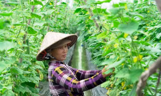 Lần đầu tiên có giải báo chí về Bình đẳng giới