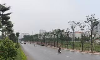 Tuyến đường trục kinh tế phía Nam là điểm cuối của tuyến đường Đỗ Xá- Quan Sơn