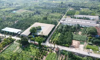 Hà Nội: Quận Hà Đông 'tổng rà soát' vi phạm trên đất nông nghiệp, đất công ích