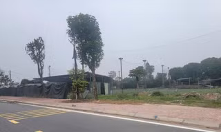 Hà Nội: Chụp ảnh sân bóng xây dựng trái phép, nữ nhân viên đê điều bị hành hung