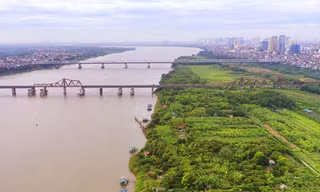 Giám sát quản lý đất đai, trật tự xây dựng khu vực bãi sông, ngoài đê sông Hồng, sông Đuống 