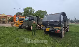 Hà Nội: Tạm giữ 'đoàn' xe tải và máy xúc thực hiện phi vụ hủy hoại tài sản, trộm đất quy mô lớn ở Ba Vì