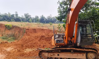 UBND TP. Hà Nội yêu cầu UBND các huyện, thị xã khẩn trương rà soát hiện trạng rừng và đất lâm nghiệp